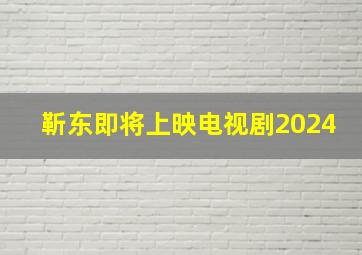 靳东即将上映电视剧2024