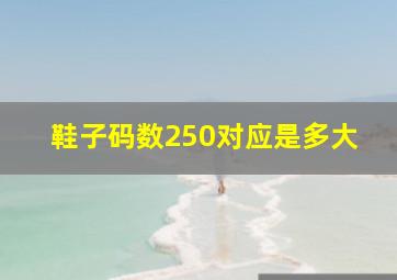 鞋子码数250对应是多大