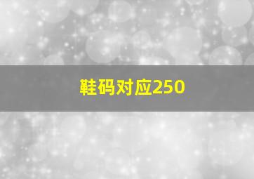 鞋码对应250