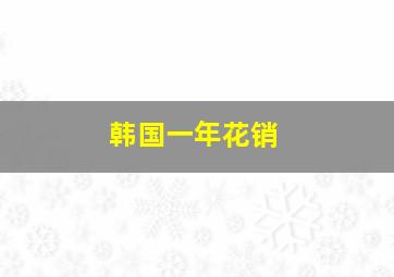 韩国一年花销