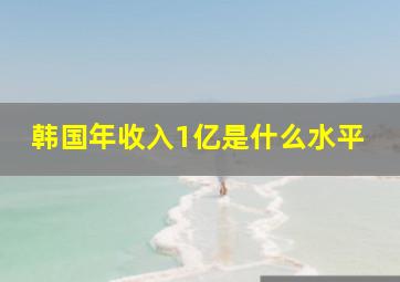 韩国年收入1亿是什么水平