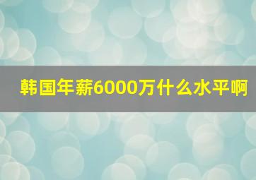 韩国年薪6000万什么水平啊