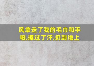 风拿走了我的毛巾和手帕,擦过了汗,扔到地上