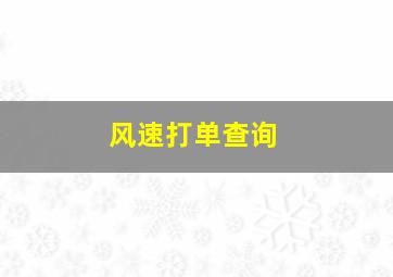 风速打单查询