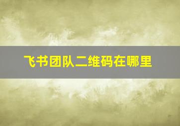 飞书团队二维码在哪里