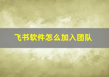 飞书软件怎么加入团队