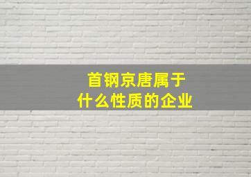 首钢京唐属于什么性质的企业