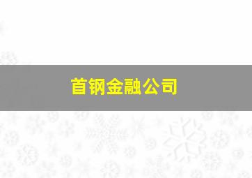 首钢金融公司