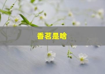 香茗是啥