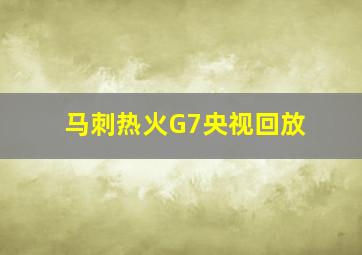 马刺热火G7央视回放