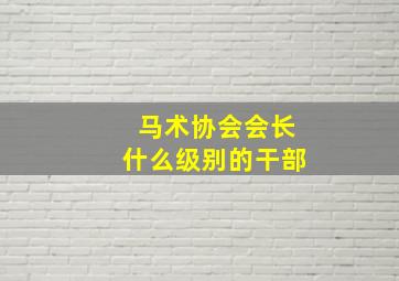 马术协会会长什么级别的干部