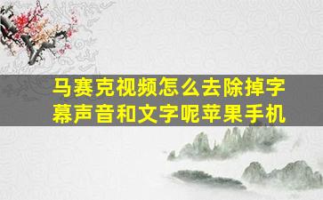 马赛克视频怎么去除掉字幕声音和文字呢苹果手机