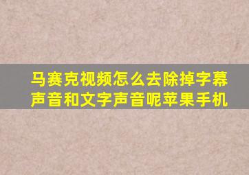 马赛克视频怎么去除掉字幕声音和文字声音呢苹果手机