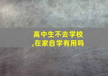 高中生不去学校,在家自学有用吗