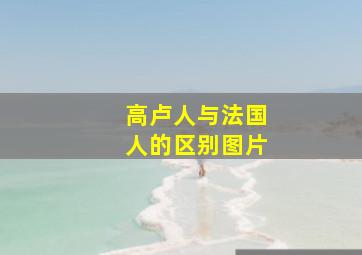 高卢人与法国人的区别图片