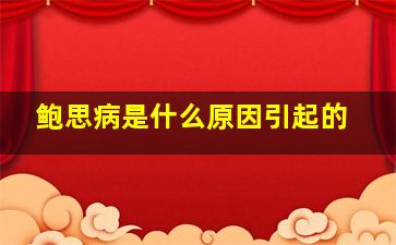 鲍思病是什么原因引起的