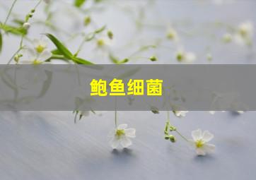 鲍鱼细菌