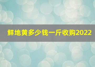 鲜地黄多少钱一斤收购2022