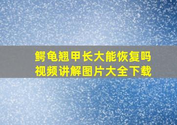 鳄龟翘甲长大能恢复吗视频讲解图片大全下载