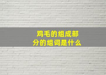 鸡毛的组成部分的组词是什么