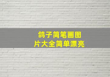 鸽子简笔画图片大全简单漂亮