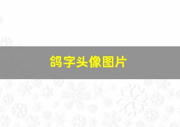 鸽字头像图片