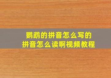 鹦鹉的拼音怎么写的拼音怎么读啊视频教程