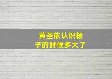 黄圣依认识杨子的时候多大了