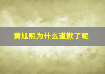 黄旭熙为什么道歉了呢