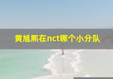 黄旭熙在nct哪个小分队