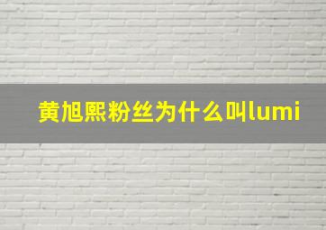 黄旭熙粉丝为什么叫lumi