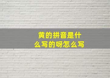 黄的拼音是什么写的呀怎么写