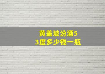 黄盖玻汾酒53度多少钱一瓶