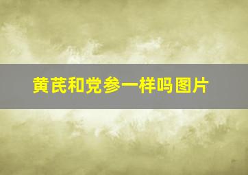 黄芪和党参一样吗图片