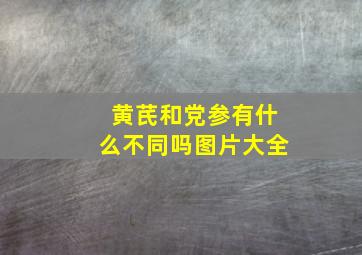 黄芪和党参有什么不同吗图片大全