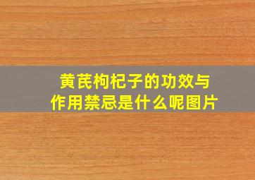 黄芪枸杞子的功效与作用禁忌是什么呢图片