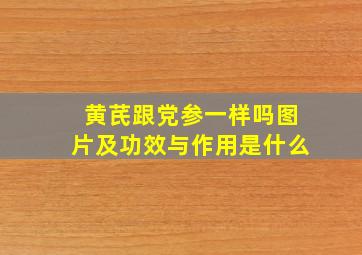 黄芪跟党参一样吗图片及功效与作用是什么