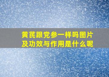 黄芪跟党参一样吗图片及功效与作用是什么呢