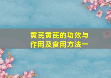 黄芪黄芪的功效与作用及食用方法一