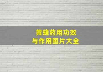 黄蜂药用功效与作用图片大全