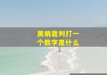 黑哨裁判打一个数字是什么