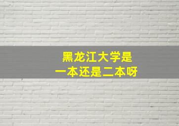 黑龙江大学是一本还是二本呀