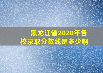 黑龙江省2020年各校录取分数线是多少啊