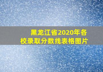 黑龙江省2020年各校录取分数线表格图片