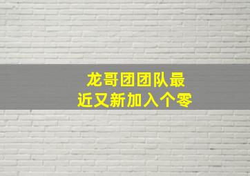 龙哥团团队最近又新加入个零