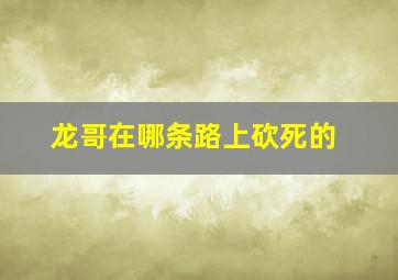 龙哥在哪条路上砍死的