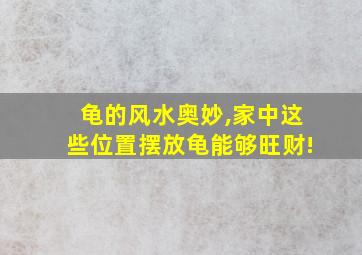 龟的风水奥妙,家中这些位置摆放龟能够旺财!