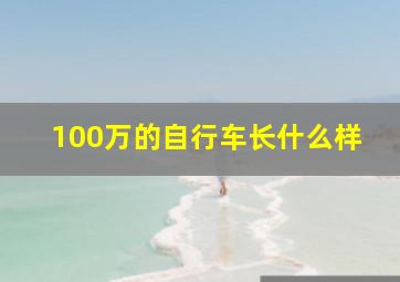 100万的自行车长什么样