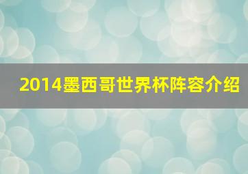 2014墨西哥世界杯阵容介绍