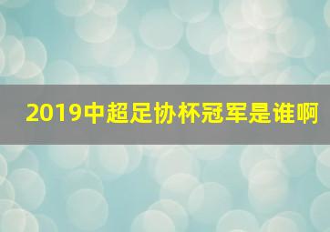 2019中超足协杯冠军是谁啊